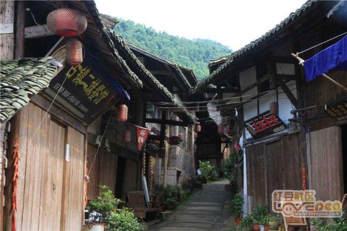 小鸡要回家